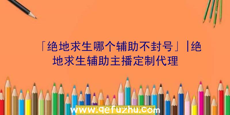 「绝地求生哪个辅助不封号」|绝地求生辅助主播定制代理